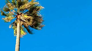 Cute Gay Jocks Fuck Hard After Beach Time