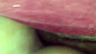 La Zorrita De La Villa