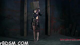 Hotty bent over, sucking cock in bondage!