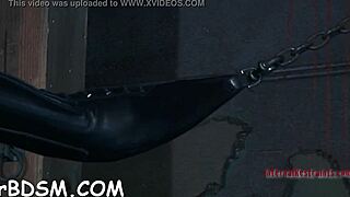 Hotty bent over, sucking cock in bondage!