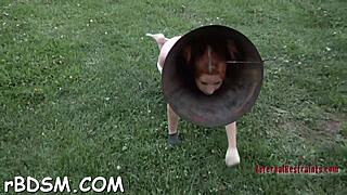 bondage with tight pussy fucking