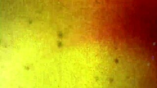 shay and adonis get wild with tgirl action 🔥