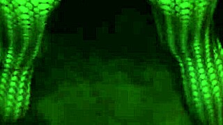 milf flashes and fucks happily 😏