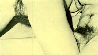 ¿Quieres oír confesiones eróticas familiares tabú vintage?