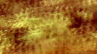 Wild African Jeep Sex Safari with Big Cock Action