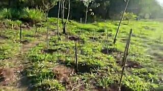 big black hetero guy fucks young guy's ass behind school, cums in mouth