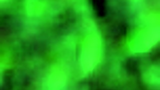 I love watching Perla ride and move sexily