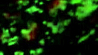 I love watching Perla ride and move sexily