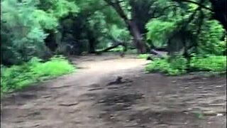 The Big Boy Is Trying Hard To Please You