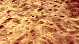 The Big Boy Is Trying Hard To Please You