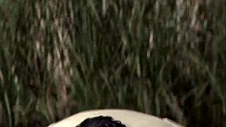 Stunning Girls Get Tight Pussies Fucked In Group Sex