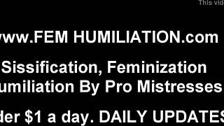 Where can I find a new sissy fuck doll to dress up and humiliate?