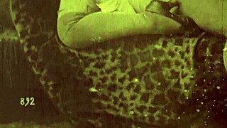 Dark Lantern Entertainment reveals top 20 Victorian nudes from secret erotic confessions.