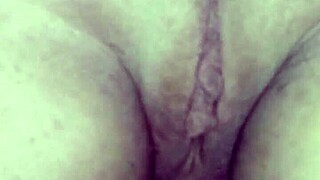 amiga's friendly adventures with amateur pals in casual settings