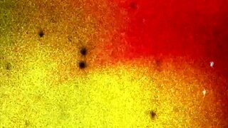 hey sharita, ready to show off that hot shemale action?