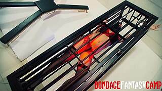 Mai Bailey and Krystal Webb Explore Lesbian Fetish with Ass Licking and Pussy Fingering