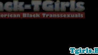 Black American Trans Goddess in Lingerie. Performs Solo Masturbation Session.