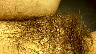 Close up hairy beaver and other hairy treasures