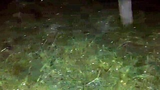 We Hid From Rain For Lesbian Sex With Dirty Talk