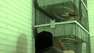 Kinky Activity On The Sofa.