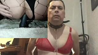 using two plump dildos in dual rooms