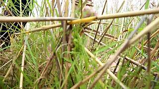 Bound and Naked Anime Hentai Girl Tied Up Tight