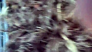 Raining Day Car Head with Swallow