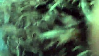 Raining Day Car Head with Swallow