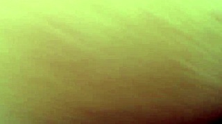 that gringa's tight little ass is getting fucked hard in anal