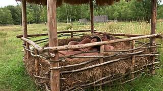 Chica morena caliente follada en granero al aire libre