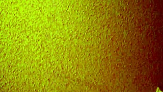 Asian Mature Hooker in Brothel