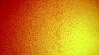 Asian Mature Hooker in Brothel