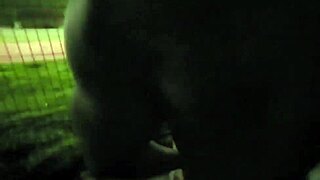 Latina brunette gets interracial blowjob and clit play