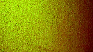 Asian Mature Hooker in Brothel