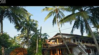 blonde big tits elegant milf craves hard cock fucking in sexy lingerie.