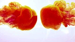 Bulgarian Teacher Diana Atanasova Appears Nude On Tv Show