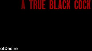 Lia Lin Feels Intense Pleasure From American Rocket Powers' Monster Cock