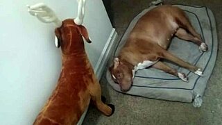 showing zodiac patience without touching myself