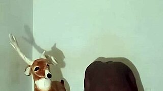 showing zodiac patience without touching myself