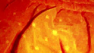 In this hot hindi xxx sex video in full hd, desi bhabhi gets fucked by devar in erotic indian pornstar scene.