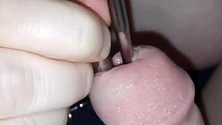 Jayq Update 05 2024 - Wanna See My Wife Test Deep Urethra Sounding Toys?