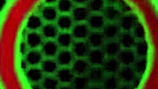 Does Angelina Castro dominate Cristi Ann with her strap-on in sensual lesbian assfucking?