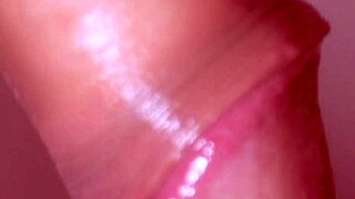 Japanese Amateur Blowjob Close-Up in Wild Porn Story. Watch Her Suck and Please!