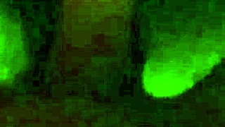 tbt, did i let him fuck me until he cums all over my pussy?