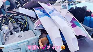 okinawa hibiscus flower blooms in the night