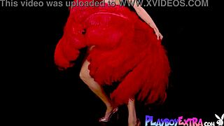 skinny blonde milf miranda strips in slutty burlesque outfit