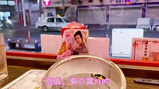 okinawa hibiscus flower blooms in the night