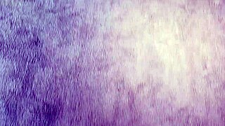 okinawa hibiscus flower blooms in the night