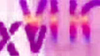 teen 18+ slut bruna santos handles 4 big cocks with intense double anal and rimming.