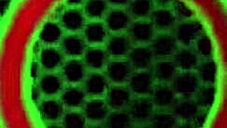 Glass Dildo Drives Lusty Brunette Jelena Jensen Wild